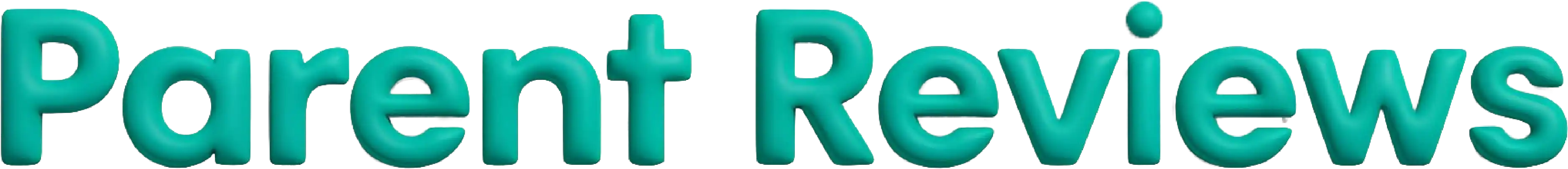 Travel-Ready Carry Bag